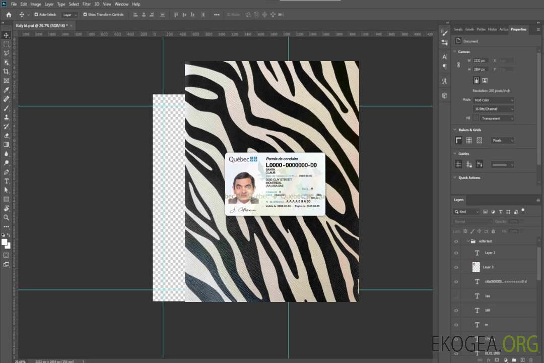 Canada Québec DL photolook DEVANT template